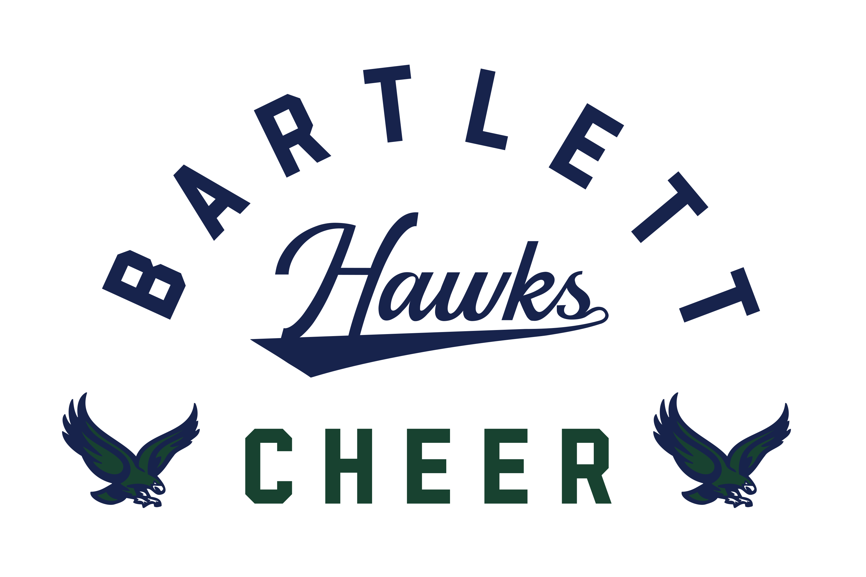 BHS Cheer